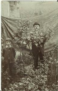 Lock (John) 1906 - with roses (Postcard)